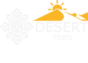 logo of desert trips in morocco
