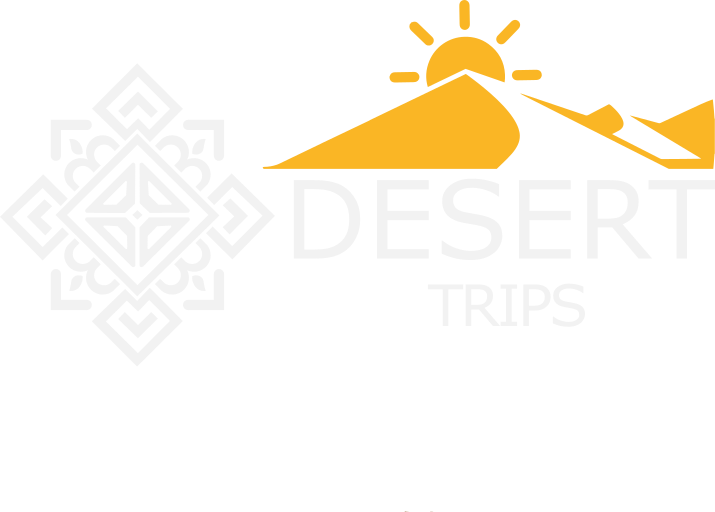 logo of desert trips in morocco