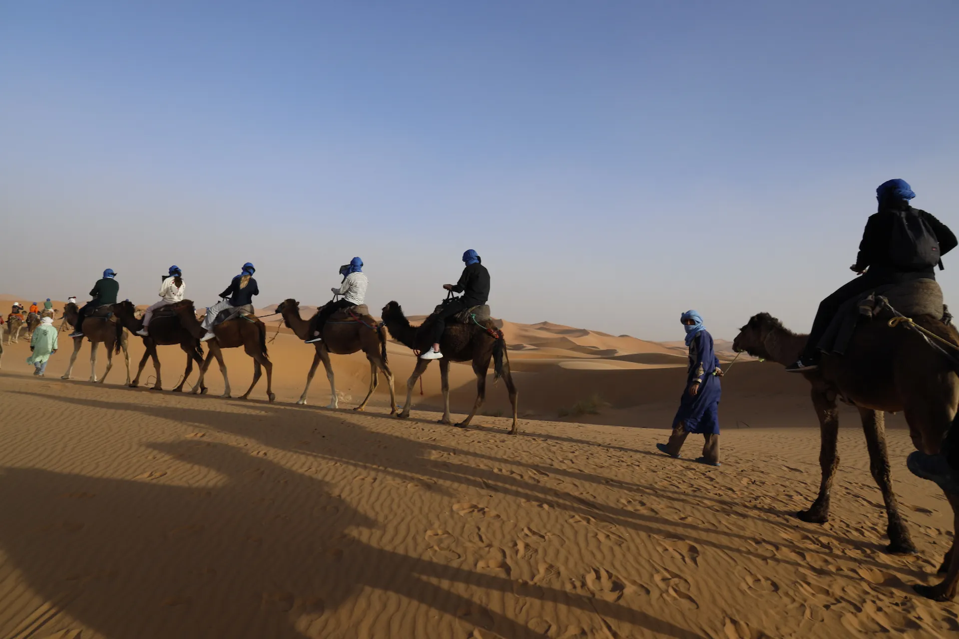 Camel caravan in Erg Chebbi Sahara Desert, Morocco