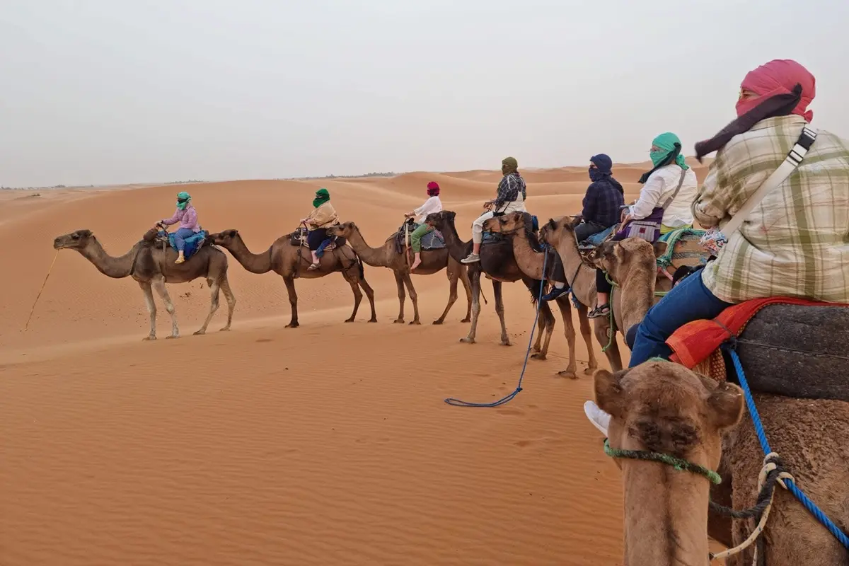 Camel trekking in Merzouga Sahara Desert during a 4-day Fes to Marrakech desert tour
