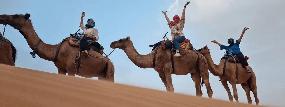 Camel trekking in Merzouga Sahara Desert with travelers on a Morocco desert trip